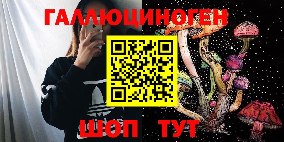Галлюциногенные грибы мухоморы Долгопрудный