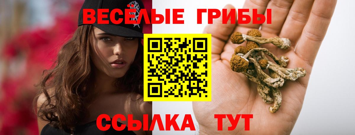 Псилоцибиновые грибы мицелий  где продают наркотики  Долгопрудный  Вход с VPN  Галлюциногенные грибы мухоморы 